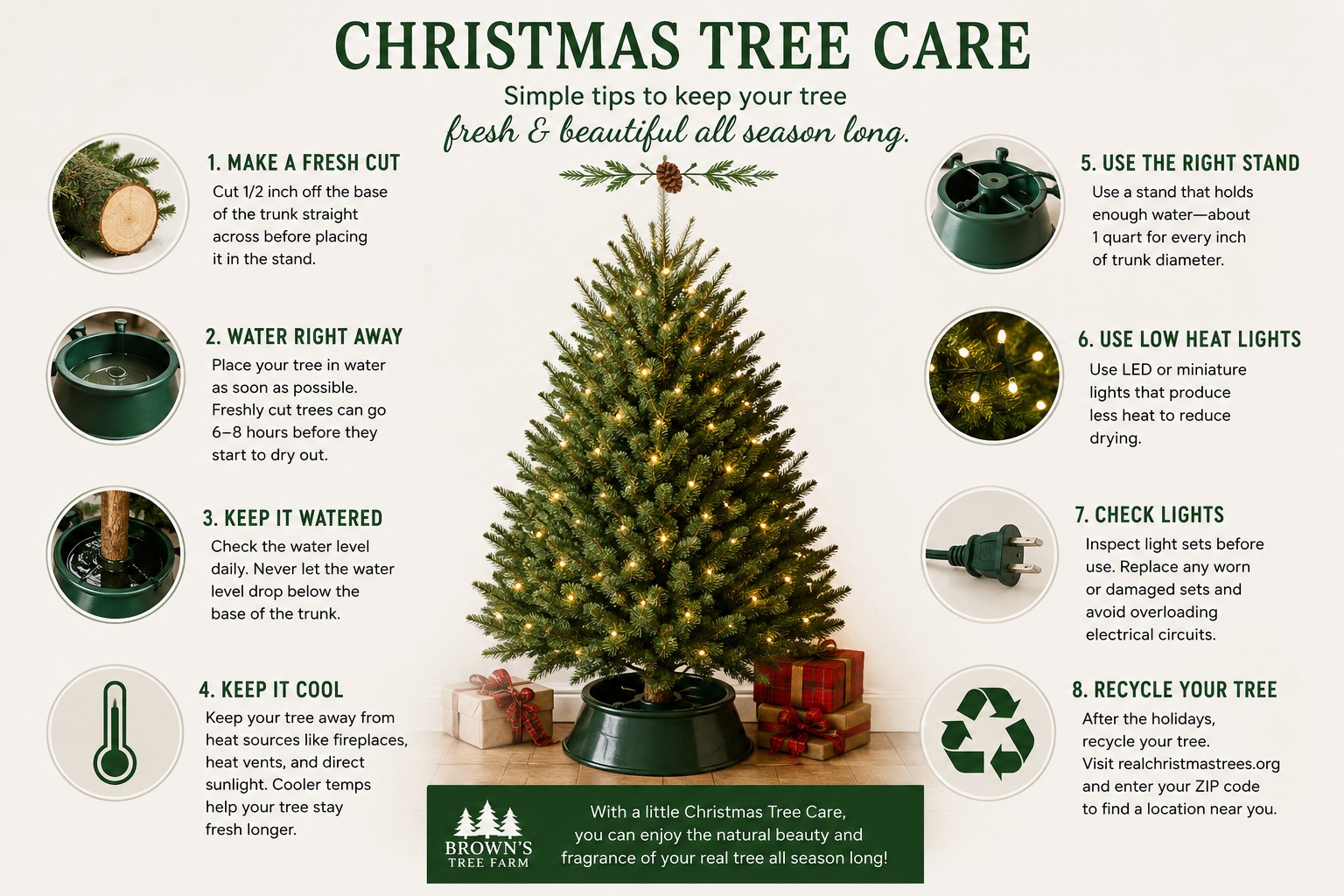 Christmas Tree Care Image